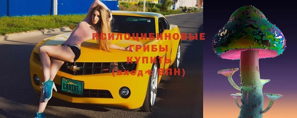 a pvp Алзамай