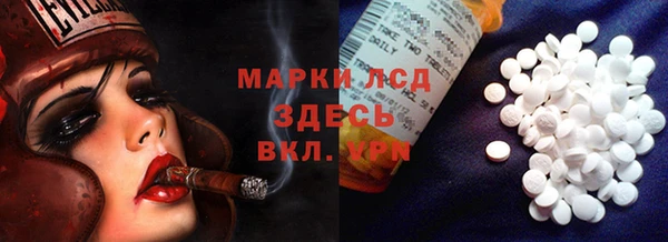 a pvp Алзамай