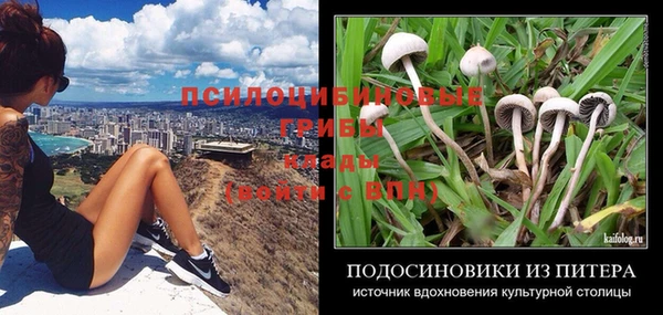 спайс Алексеевка