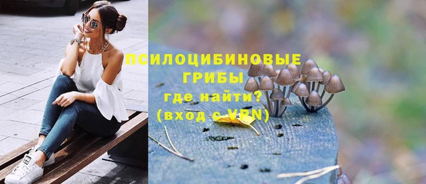 a pvp Алзамай