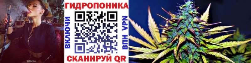 Канабис OG Kush  купить наркоту  Саров 