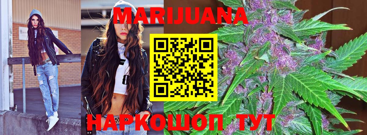 Марихуана сатива  Вход с VPN  Саров  Конопля планчик  МАРИХУАНА марихуана  Бошки Шишки гибрид 